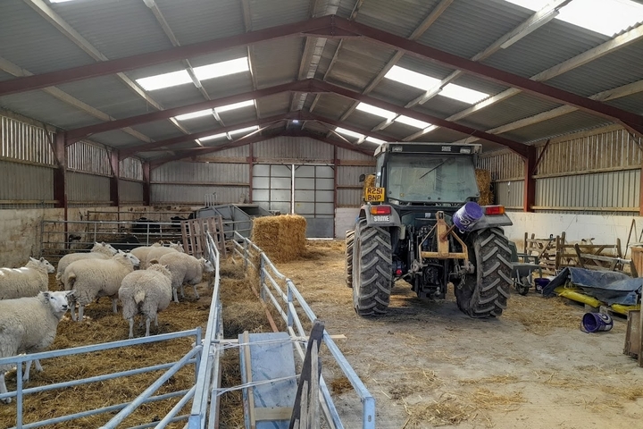 Image of a barn with a tractor and sheep.